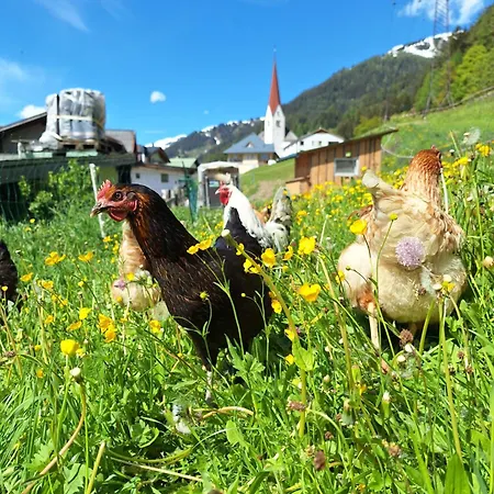 Appartement Gsoerhof *